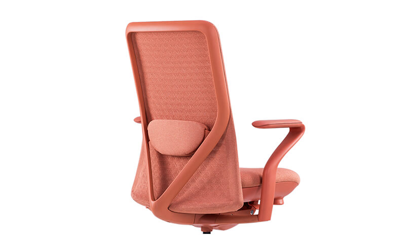 Poly Ergonomic Chair